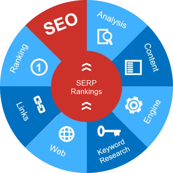 seo in newton abbot