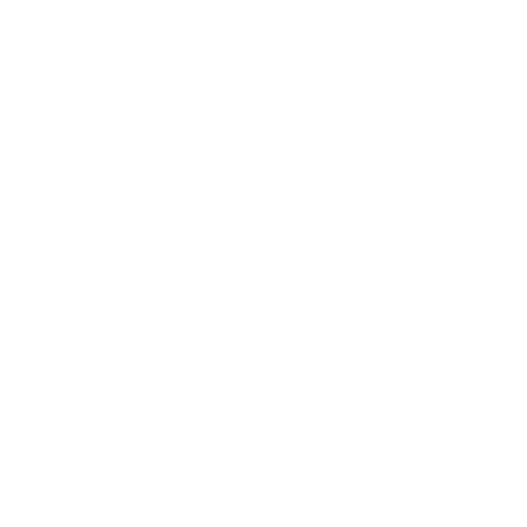 Video camera