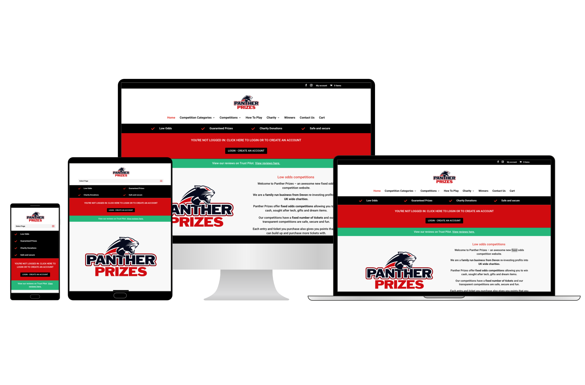 competition and raffle website design